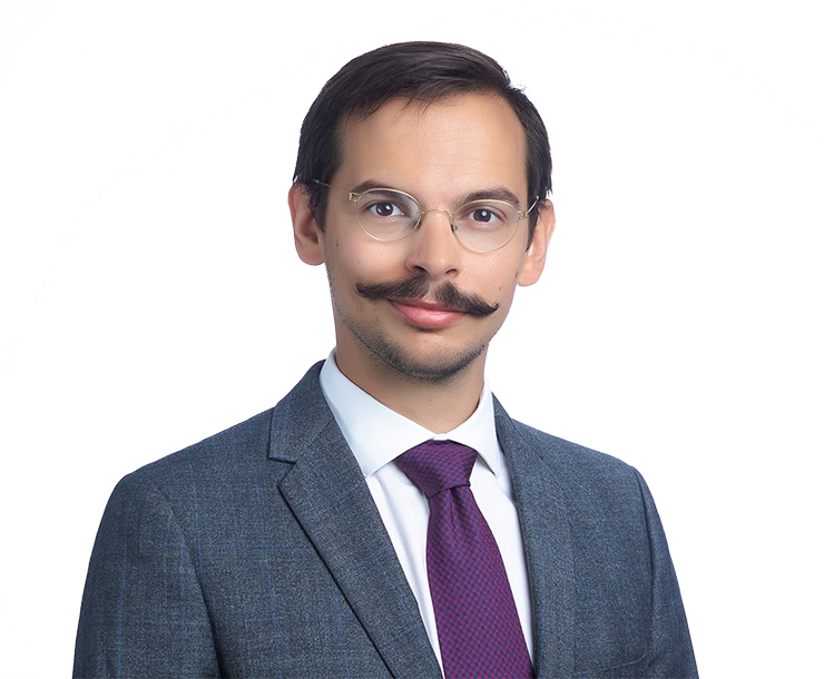 cann_v_cropped_low_res_transparent