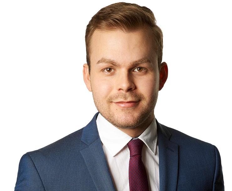 lemmermann_l_cropped_low_res_transparent