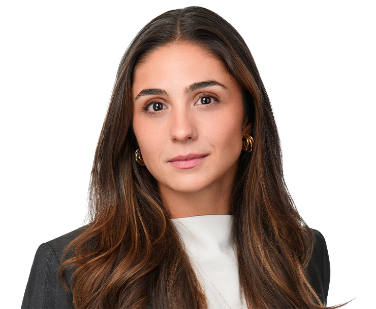 monte_a_cropped_low_res_transparent