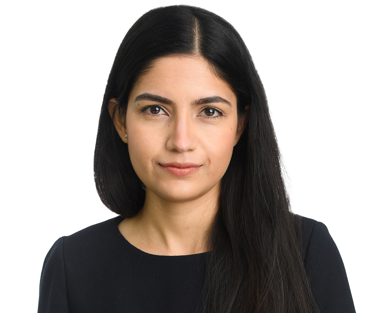 saha_a_cropped_low_res_transparent_18823