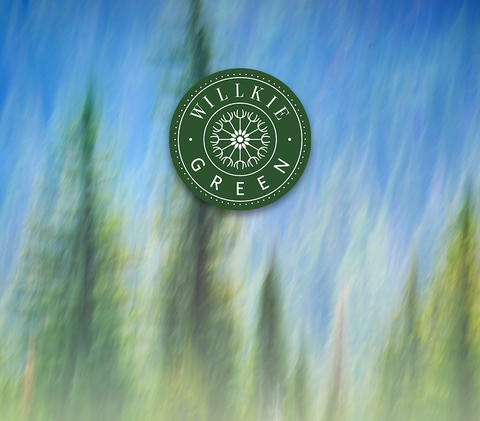 Willkie Green 2025